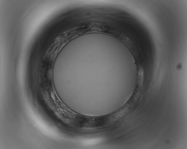 X0000115560765200911271457