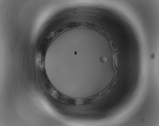 X0000115560766200911271457