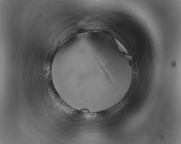 X0000115560767200911271457