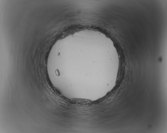 X0000115560769200911271456