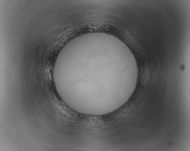 X0000115560770200911271456