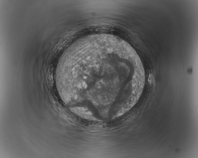 X0000115560771200911271456