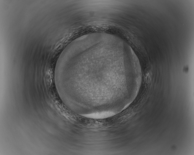 X0000115560772200911271456