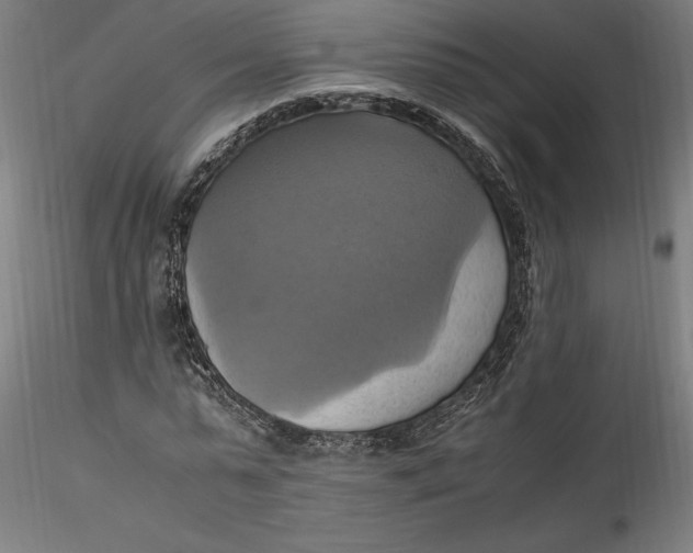 X0000115560775200911271456