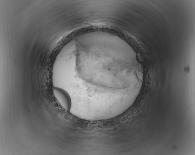 X0000115560776200911271456