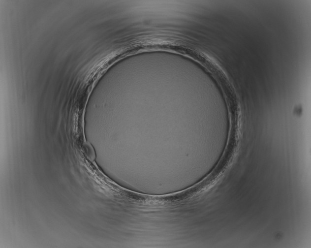 X0000115560777200911271456