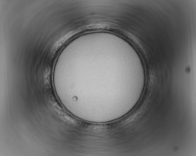 X0000115560778200911271456