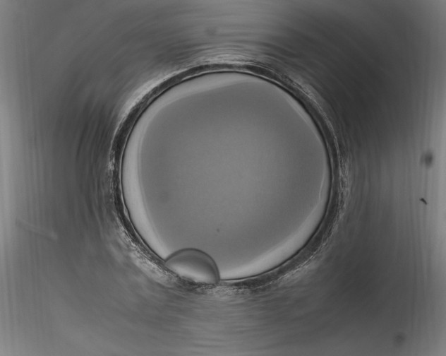 X0000115560779200911271456