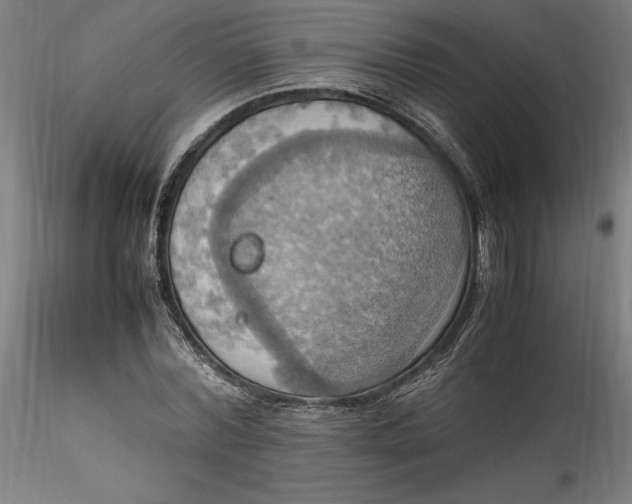 X0000115560780200911271456