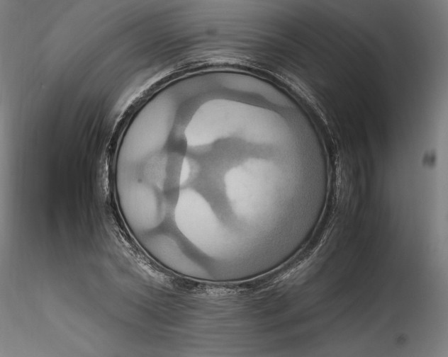 X0000115560782200911271456