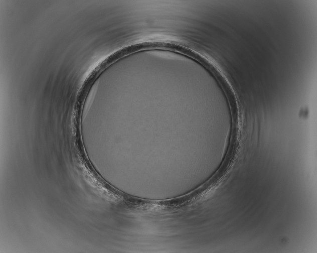 X0000115560783200911271456