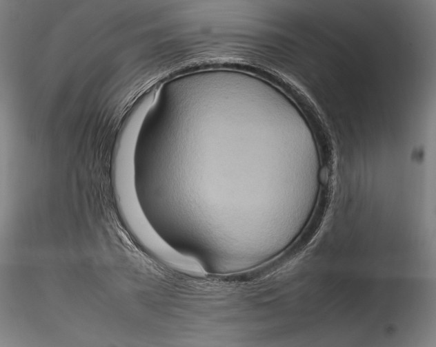 X0000115560785200911271456