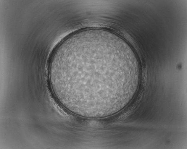 X0000115560787200911271456