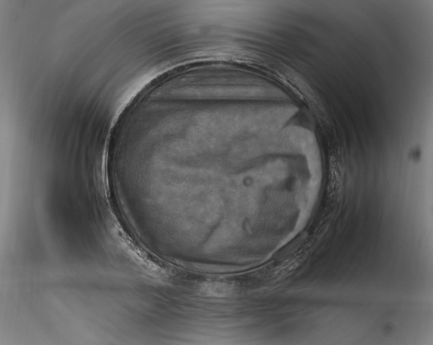 X0000115560788200911271456