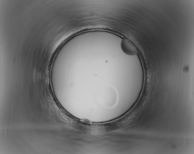 X0000115560789200911271456