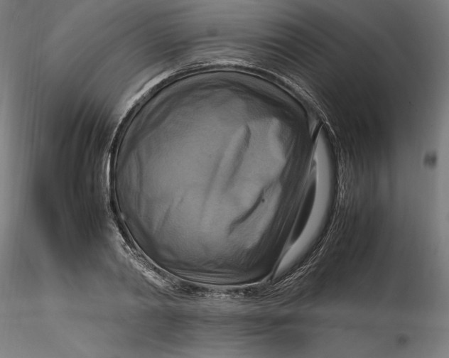 X0000115560790200911271456