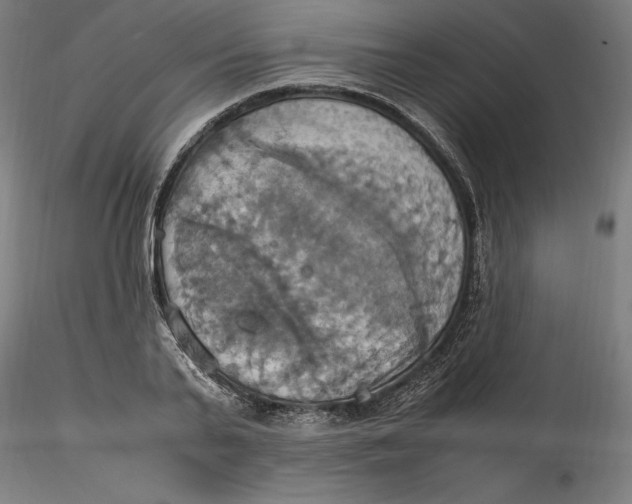 X0000115560791200911271456