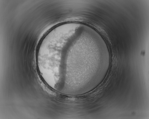 X0000115560792200911271456