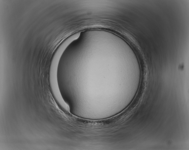 X0000115560793200911271456