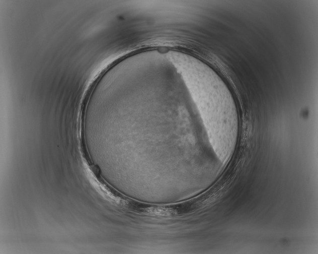 X0000115560795200911271456