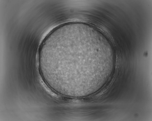 X0000115560796200911271456