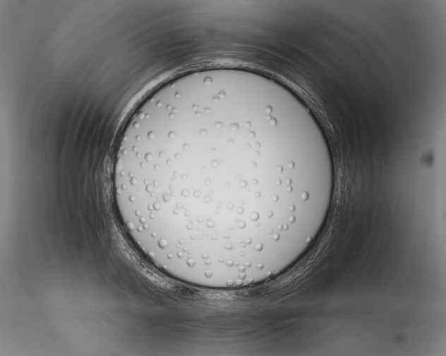 X0000115560798200911271456