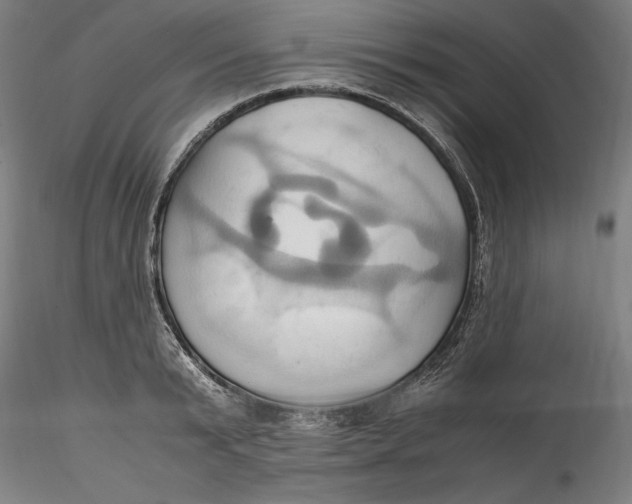 X0000115560799200911271456