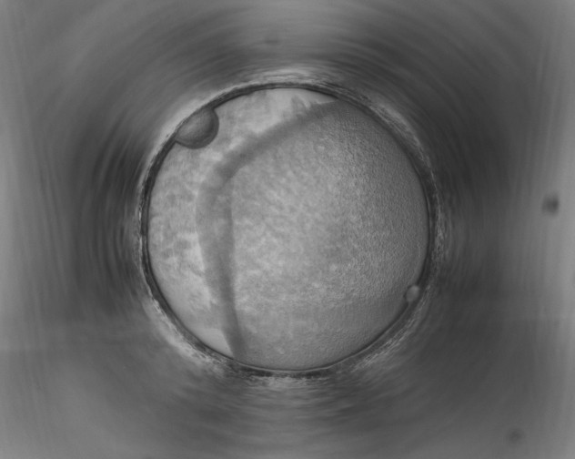 X0000115560800200911271456