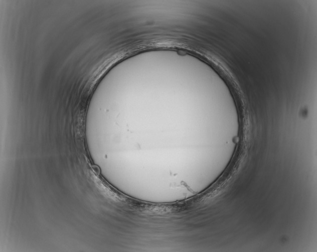 X0000115560801200911271456