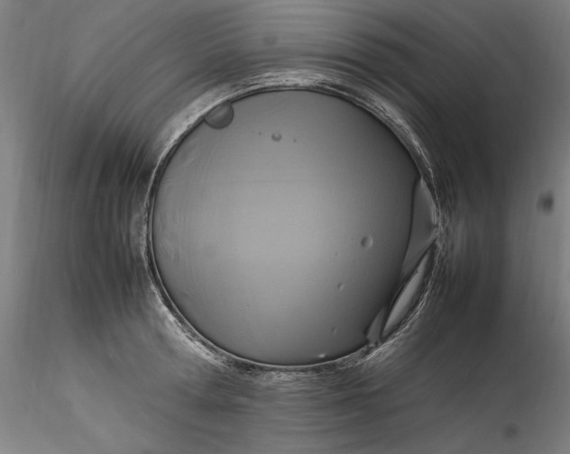 X0000115560802200911271456