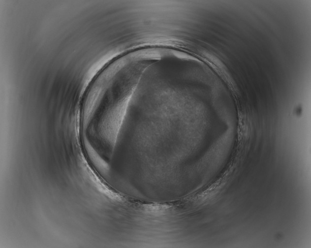 X0000115560804200911271455