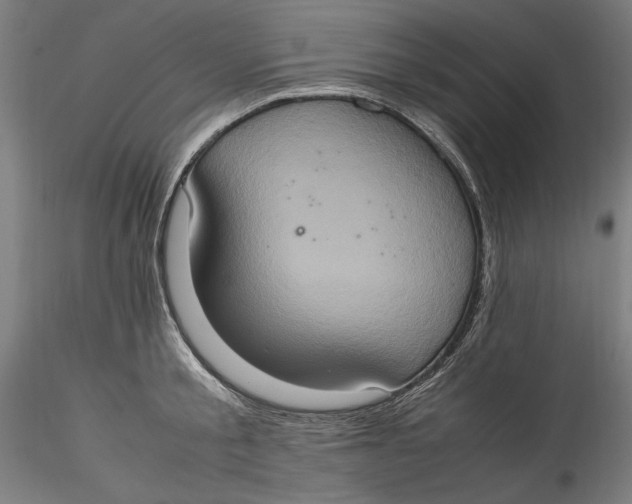 X0000115560805200911271455