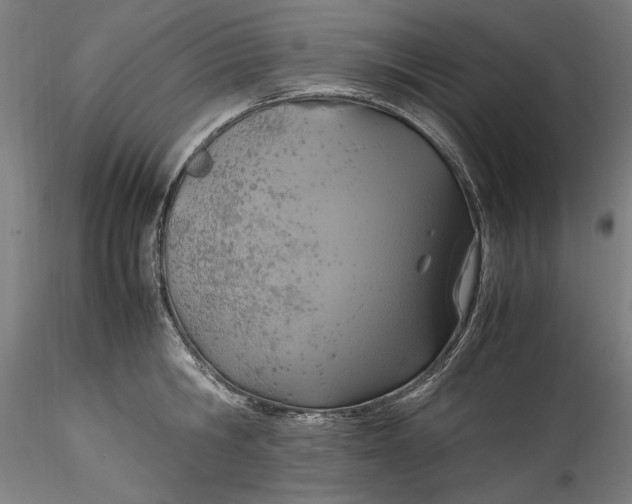 X0000115560806200911271455