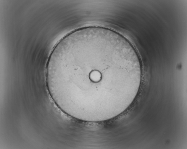 X0000115560807200911271455