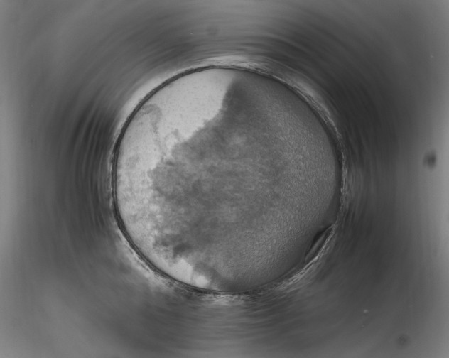 X0000115560808200911271455