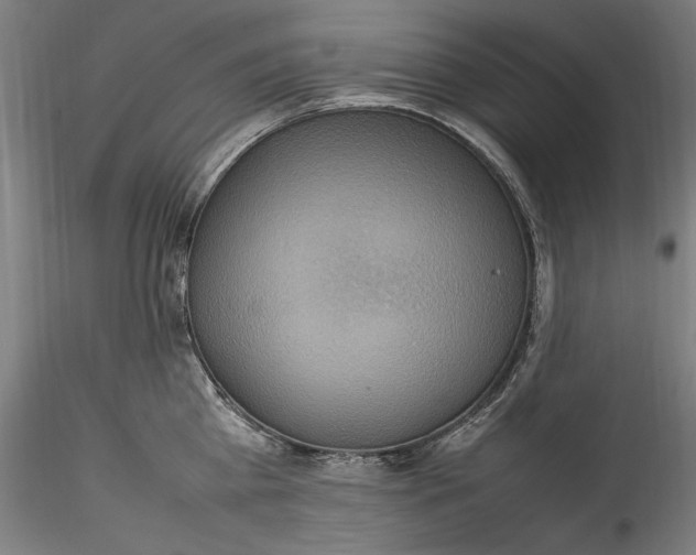 X0000115560809200911271455