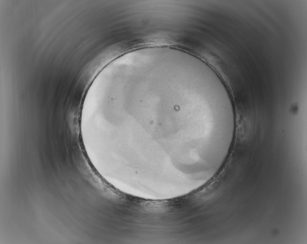 X0000115560810200911271455