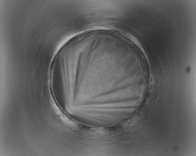 X0000115560811200911271455