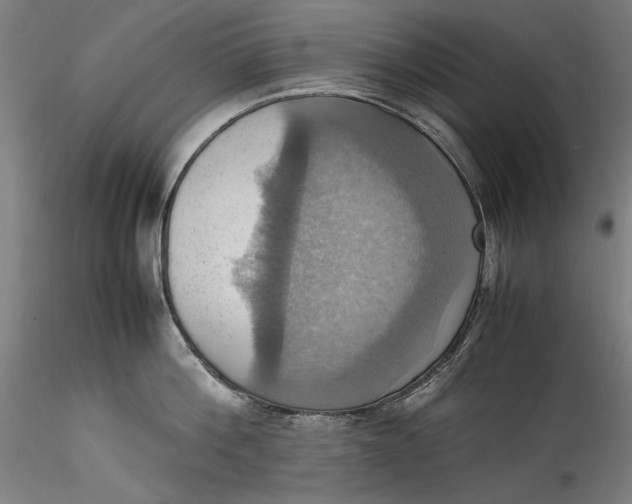 X0000115560812200911271455