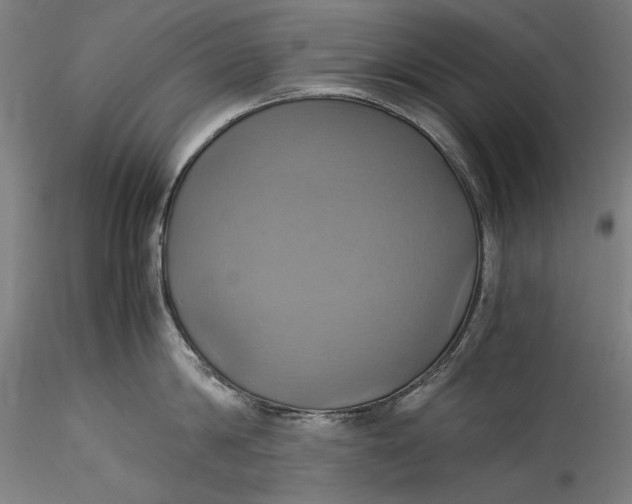 X0000115560814200911271455