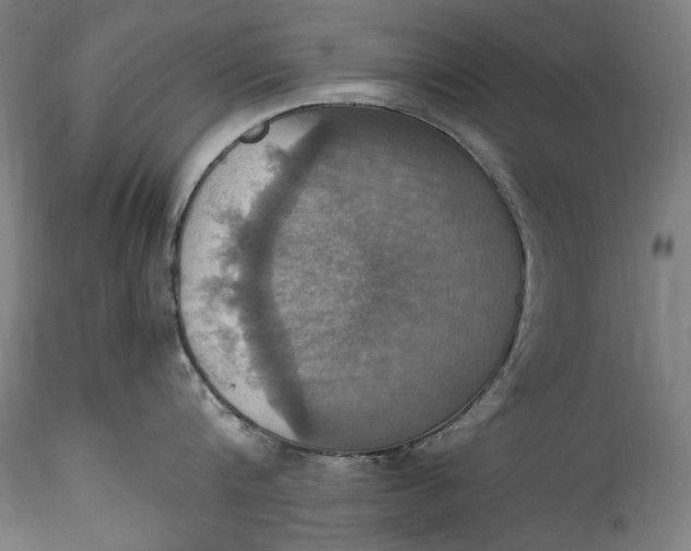 X0000115560816200911271455