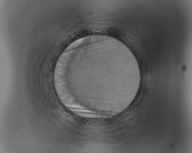 X0000115560817200911271455