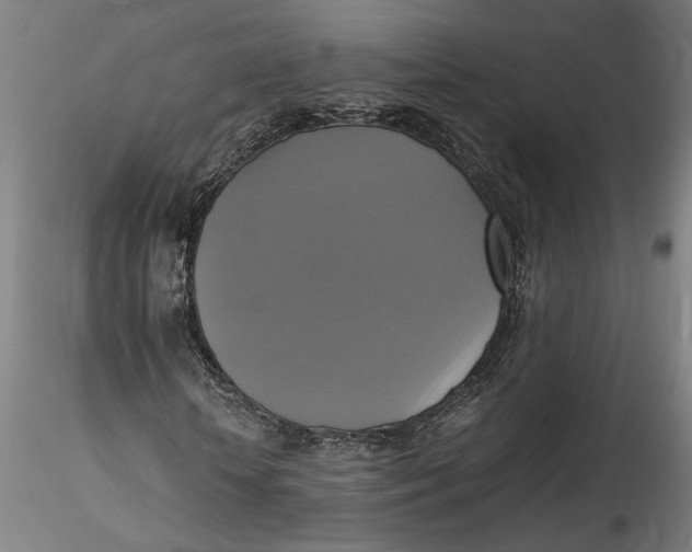 X0000115560818200911271455