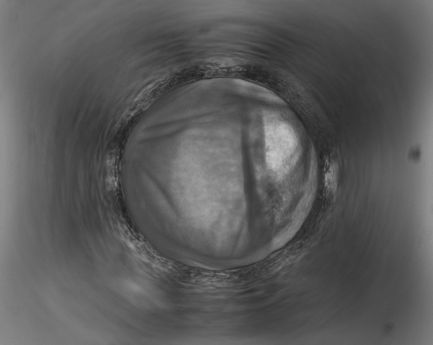 X0000115560819200911271455