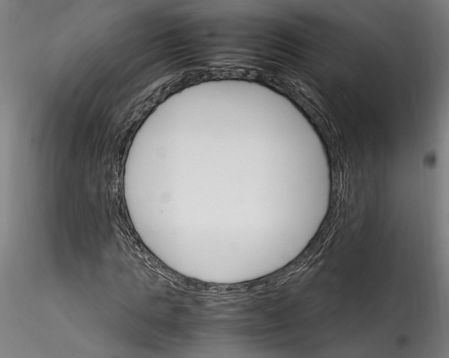 X0000115560821200911271455