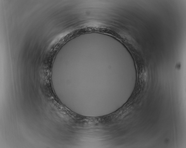 X0000115560822200911271455