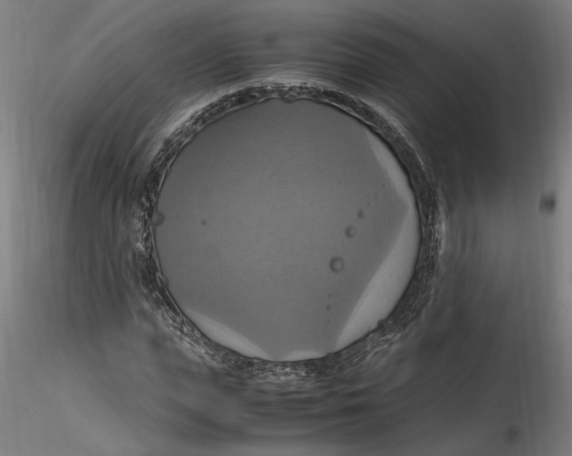 X0000115560823200911271455