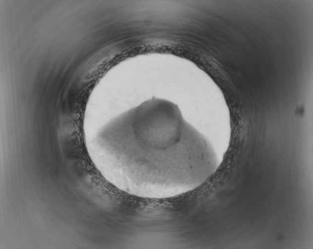 X0000115560824200911271455