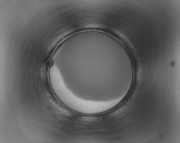 X0000115560825200911271455