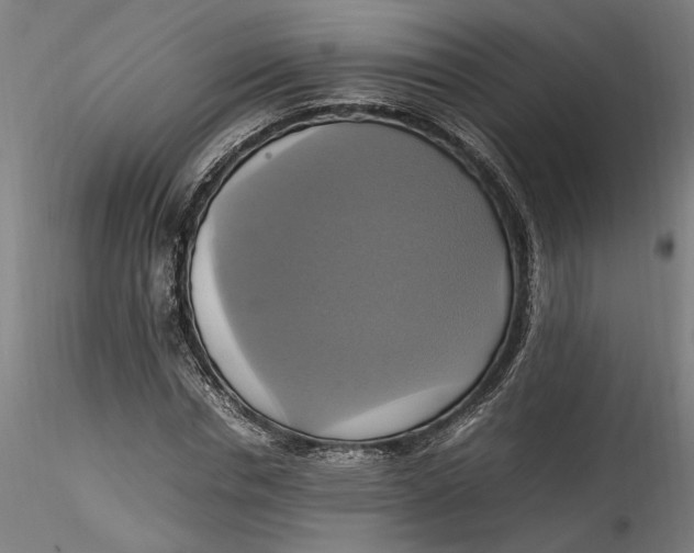 X0000115560826200911271455